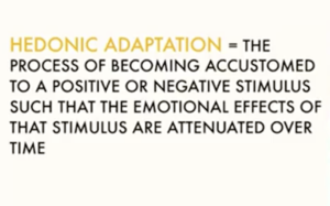 hedonic adaptation definition hedonic adaptation definition